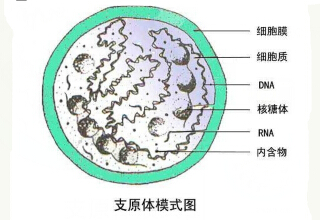 宜兴仁济医院