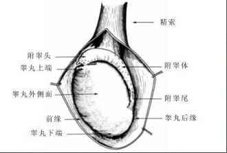 宜兴仁济医院