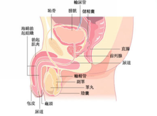 宜兴仁济医院