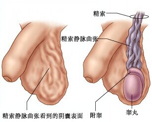 宜兴男科医院