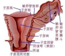 宜兴仁济医院