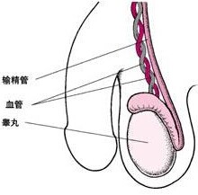 宜兴男科医院